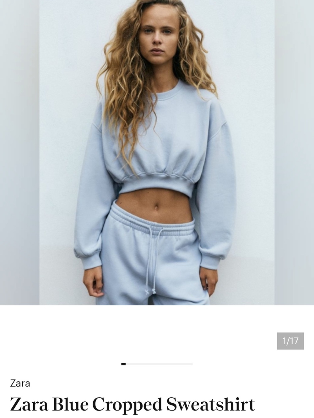 NWOT Zara Pale Blue Crewneck Sweatshirt